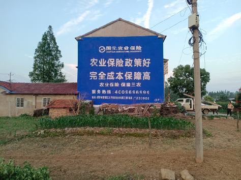 盘州墙体广告的优劣势你知道吗？